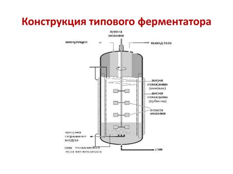 Ферментатор схема фото Raspinovky ru