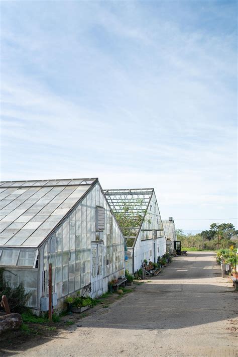 Dos Pueblos Orchid Farm Wedding Venue — Miki And Sonja Photography Los