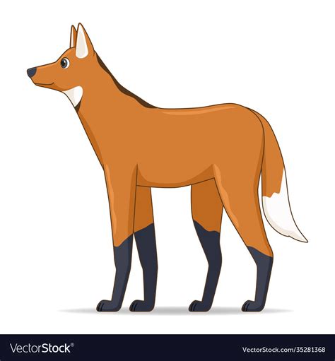 Maned wolf animal standing on a white background Vector Image