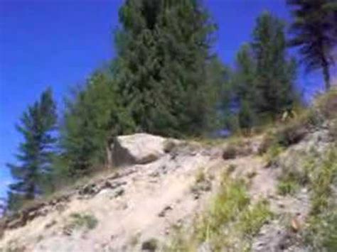 DH Drop At The Mottolino Bike Park Livigno YouTube