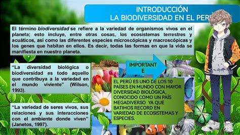 La Biodiversidad Del PerÚ Pdf