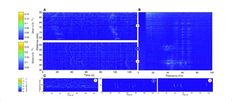 Vocalizing Baleen Whales Recorded Simultaneously At Three Different