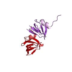 snRNA : What is snRNA | Type Of snRNA | Basic Information ABout snRNA ...