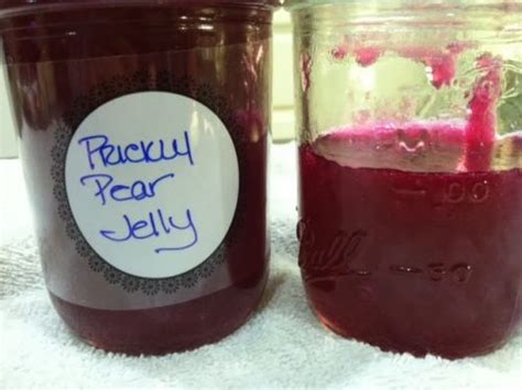 Prickly Pear Jelly – SBCanning.com – homemade canning recipes