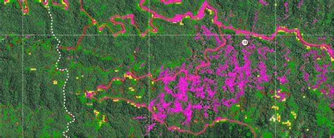 How Earth Observation Helps Natural Resource Management Dragonfly