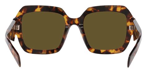 Prada Pr Zs L Z Sage Honey Tortoise Sunglasses