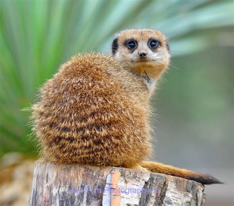 Links 9 22 12 Naked Capitalism