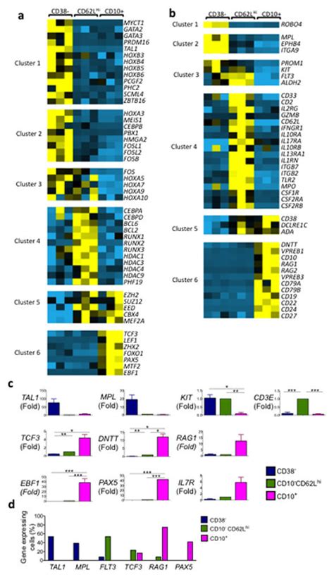 Cd10 − Cd62l Hi Cells Represent A Distinct Progenitor Population With A