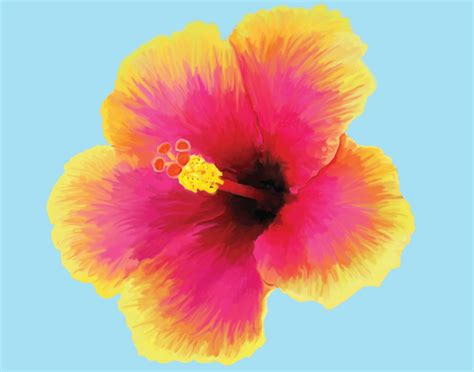 Kristens Artwork Hibiscus Painting