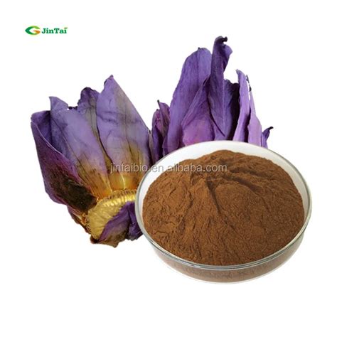 Hot Sell Dried Nymphaea Tetragona Lotus Leaf Flower Extract Blue Lotus