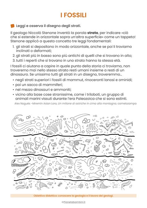 I Fossili Schede Didattiche Per La Scuola Primaria PianetaBambini It