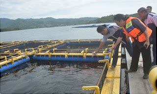 PANDUAN CARA PEMBESARAN DAN PERAWATAN IKAN KERAPU