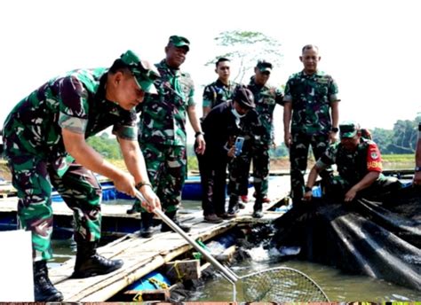 Kasad Ajak Masyarakat Dukung Program Ketahanan Pangan Harian Pelita