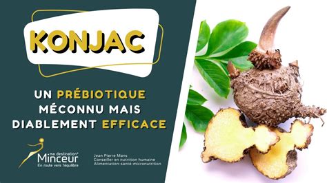 Les Bienfaits Incroyables du Konjac en Gélules Découvrez les