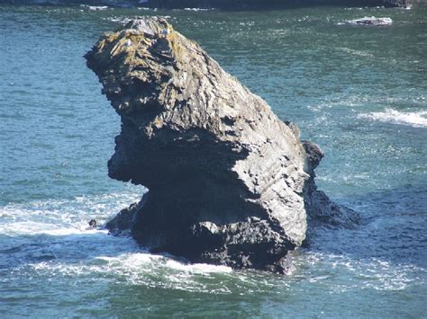 Welcome To Llangrannog