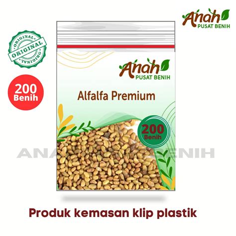 Benih Alfalfa Premium Isi Biji Benih Pakan Ternak Unggulan