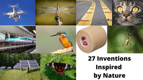 27 Inventions Inspired By Nature Youtube