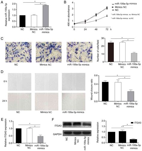 MicroRNA199a5p Suppresses Cell Proliferation Migration And Invasion