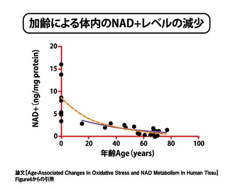 Nmn点滴療法 銀座・新宿の美容皮膚科エルクリニック【公式】