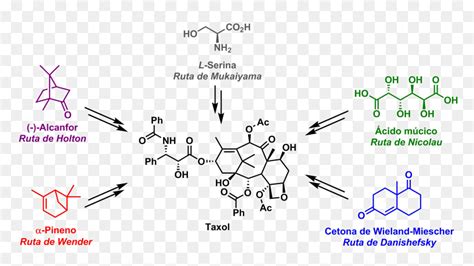 Cinco Precursores De La S Ntesis Del Taxol Sintesis Del Paclitaxel