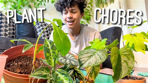 Lets Repot Some Plants Together Repotting Houseplants Repot