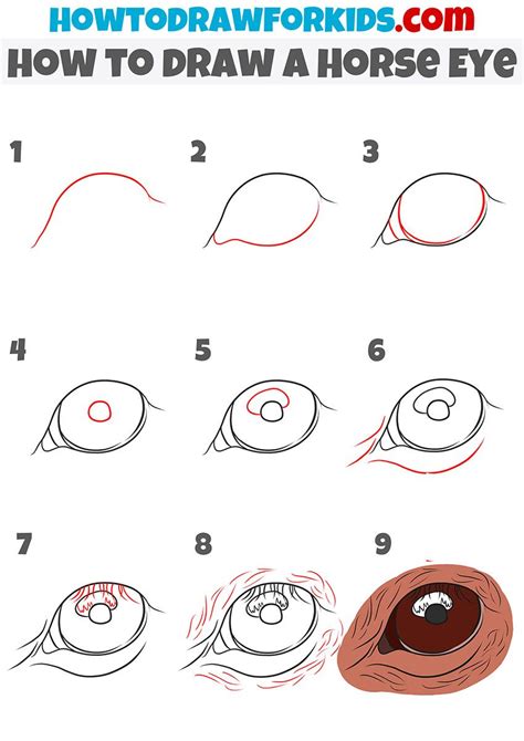 how to draw a Horse Eye step by step | Easy horse drawing, Horse ...