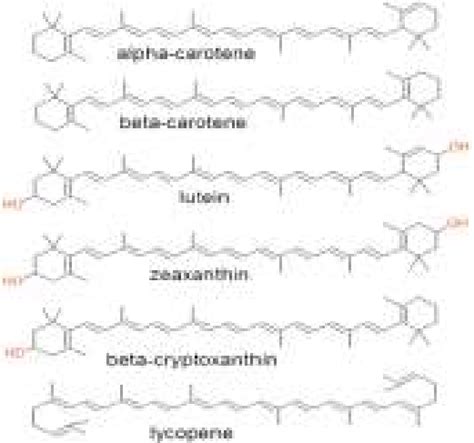 Structure of some typical carotenoids present in higher plants ...