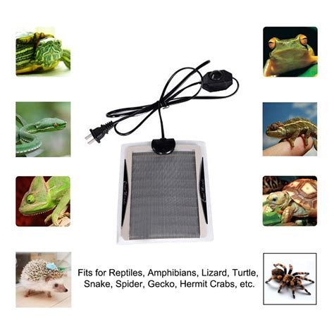 Terrarium Reptielen 5 35W Warmte Mat Klimmen Huisd Grandado