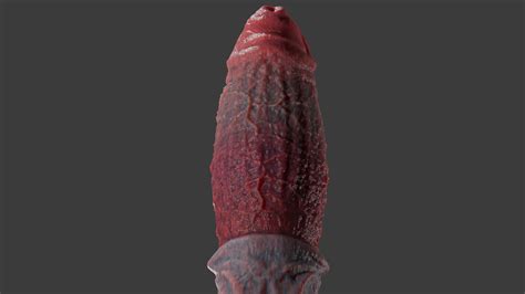 Querodonte Dragon Dildo Low Poly Rigged And Animated 3D Model By TriDsign
