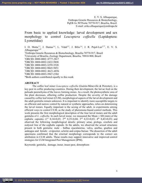 From Basic To Applied Knowledge Larval Development And Sex Morphology To Control Leucoptera