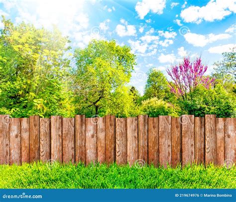 Wooden Garden Fence At Backyard Green Grass And Blue Sky With White