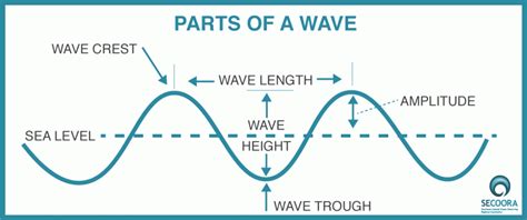 Parts Of A Wave Secoora