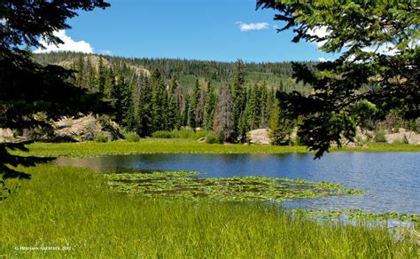 Eagles Nest Wilderness Area