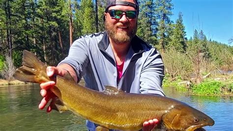 Bull Trout Fishing On The Metolius River Oregon Youtube