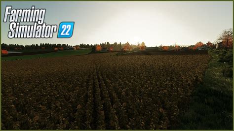 CAMPO A GIRASOLI PER I SUINI 29 PALLEGNEY FARMING SIMULATOR 22 ITA