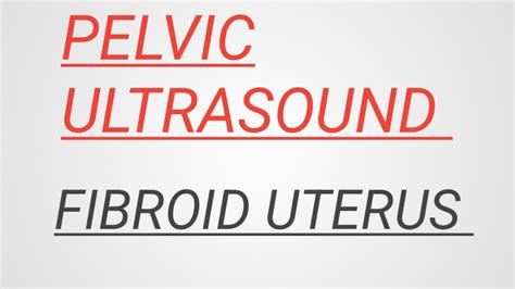 Ultrasound Showing Uterine Fibroids Pelvic Ultrasound Fibroid Uterus