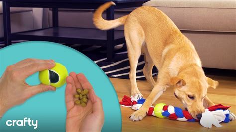 3 Super Simple Diy Dog Toys Your Dogs Will Love Youtube