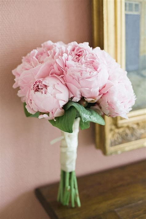 Pin By Katherine Baron On Peony Place Pink Peonies Wedding Pink