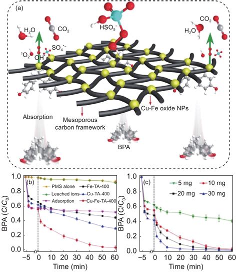 Synthesis Of Mesoporous Carbon Materials From Renewable Plant