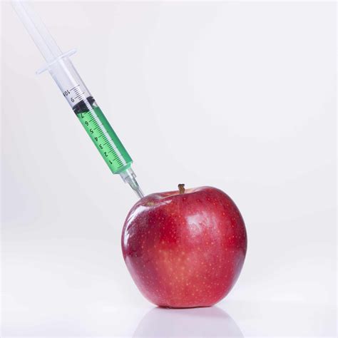 Regulation of GE Animals Should Stay with FDA not USDA