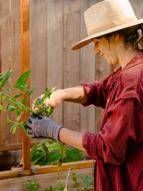 Urban Farms La