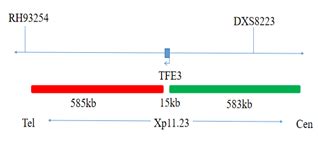 Ivd Fp Tfe Gene Break Apart Probe Detection Kit Fish Probe Kits