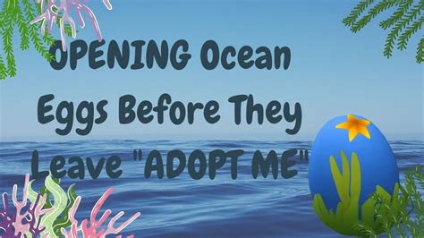 OPENING Ocean Eggs Before They Leave ADOPT ME YouTube