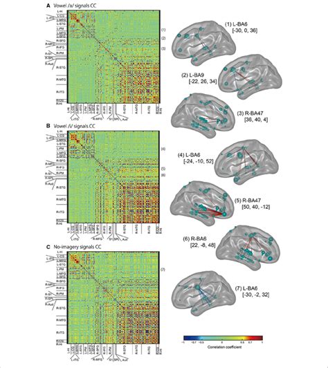 Left Panel Color Maps Of Correlation Coefficient Cc Values For Eeg