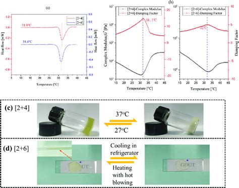 Thermo Responsive Properties Of The Supramolecular Polymeric Hydrogels