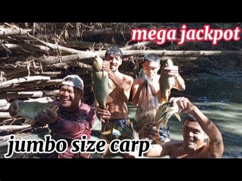 Mega Jackpot Sa Jumbo Size Na Carpa Kamay Na Lang Ang Gamit Sa