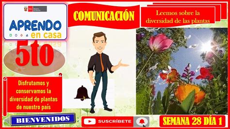 Leemos Sobre La Diversidad De Las Plantas Youtube