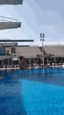 Diving Funny GIFs | Tenor