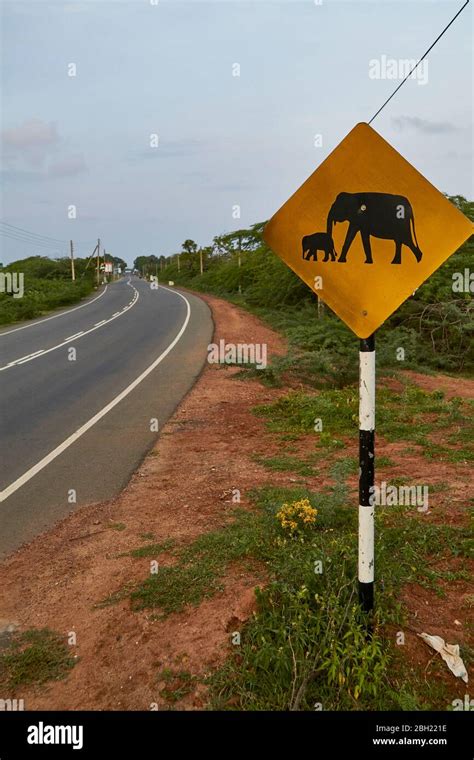 Elephant Crossing Sign Yala National Park Hi Res Stock Photography And