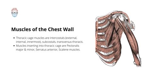 Principles of Chest Wall Reconstruction